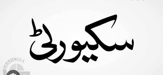 گھریلو سیکیورٹی گارڈ