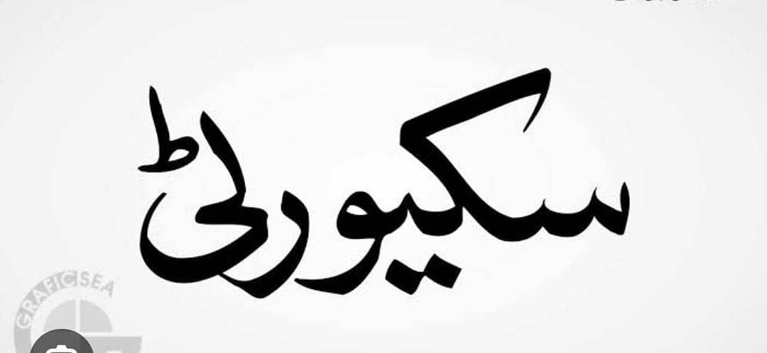 گھریلو سیکیورٹی گارڈ 0