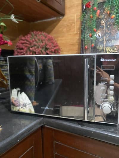 Electric oven
