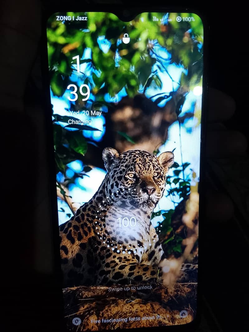 OPPO A16 1