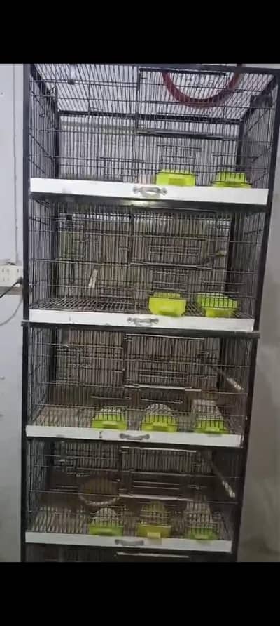cage pinjra for sell 5 portions