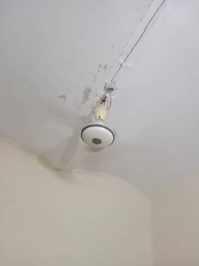 Ceiling Fan | A1 Condition | Excellent Cooling Performance