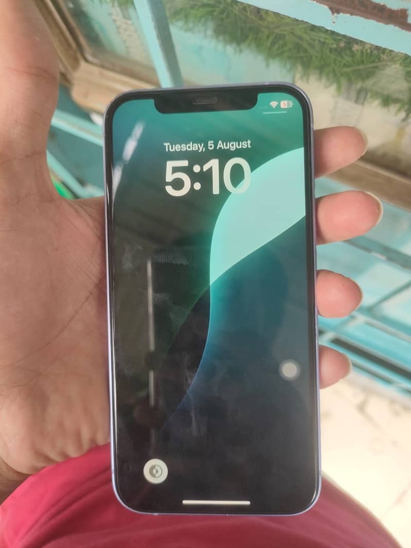 Apple iPhone 12 1