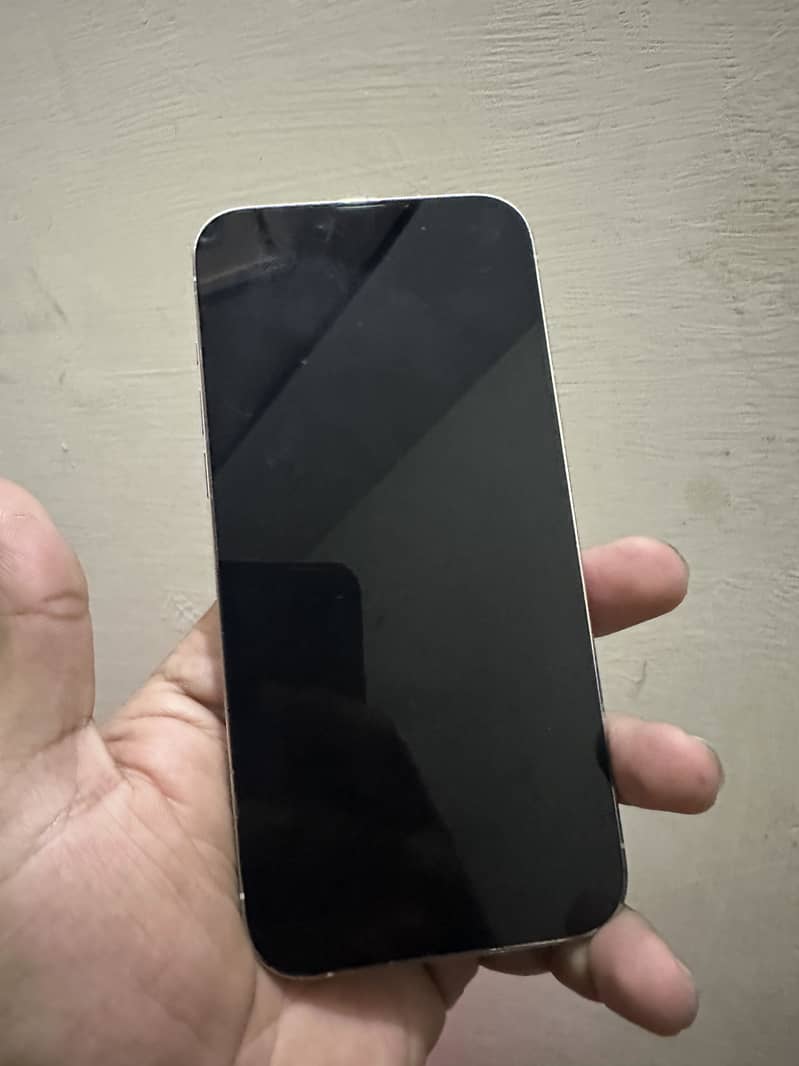 iPhone 13 pro max 1