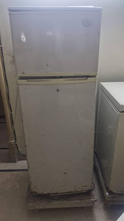 nofrost fridge