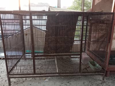 parrot cage