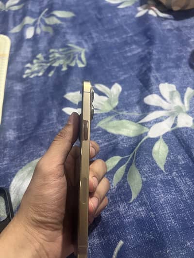 iPhone 13 Pro Max 256GB