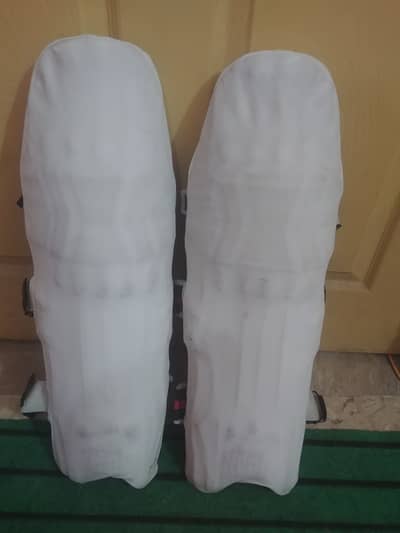 CA Cricket Pads ( Player Edition )