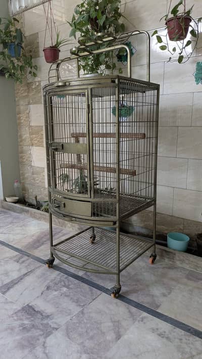 Bird's cage