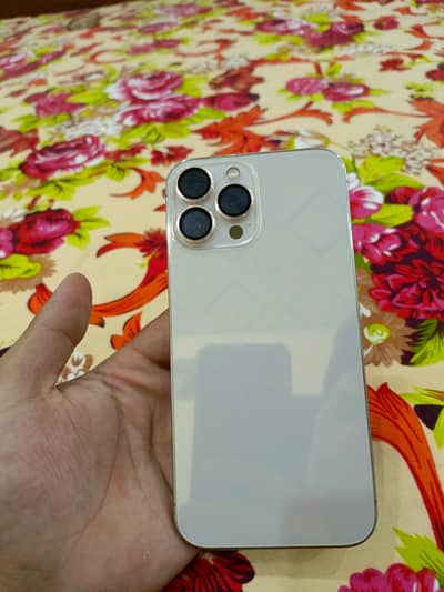 Apple iPhone 13 Pro Max