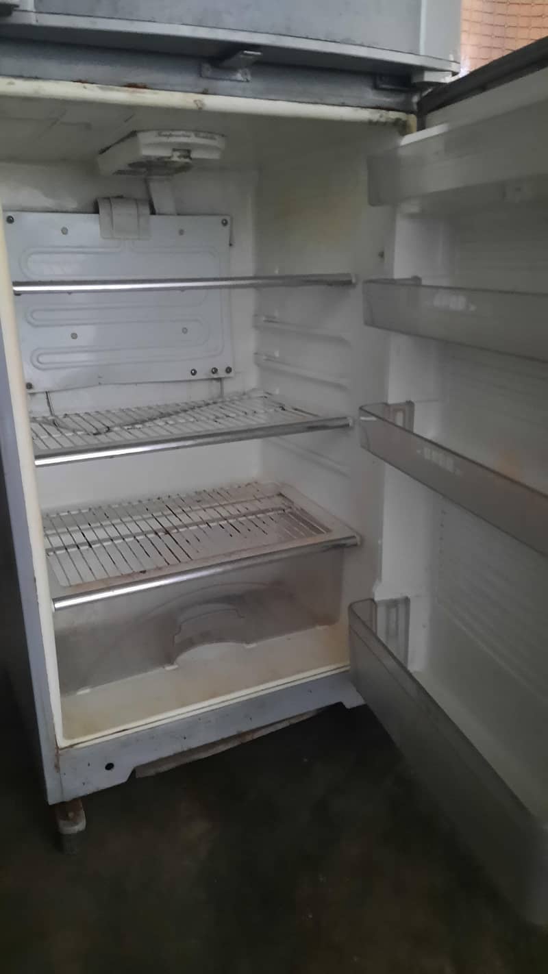 fridge 1