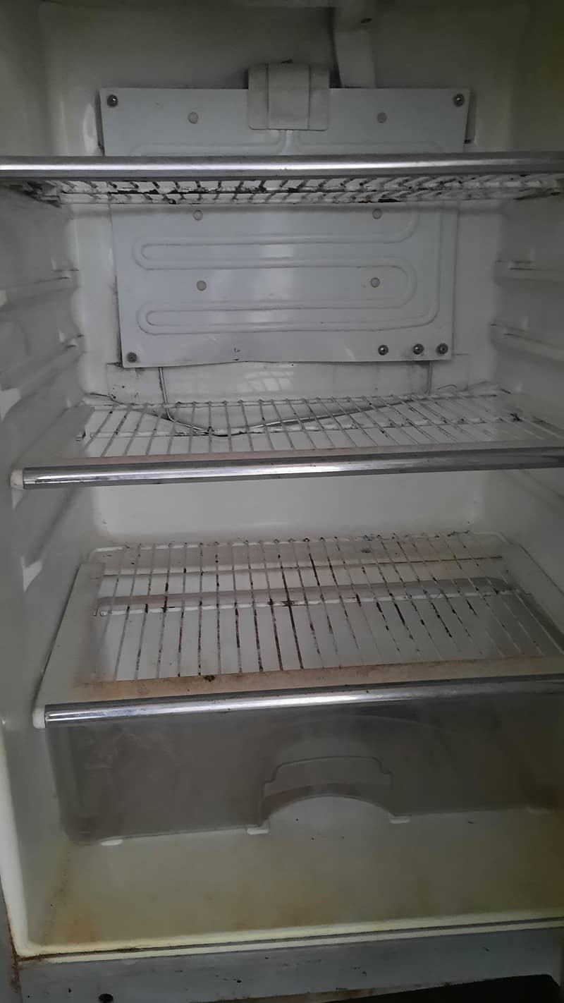 fridge 6