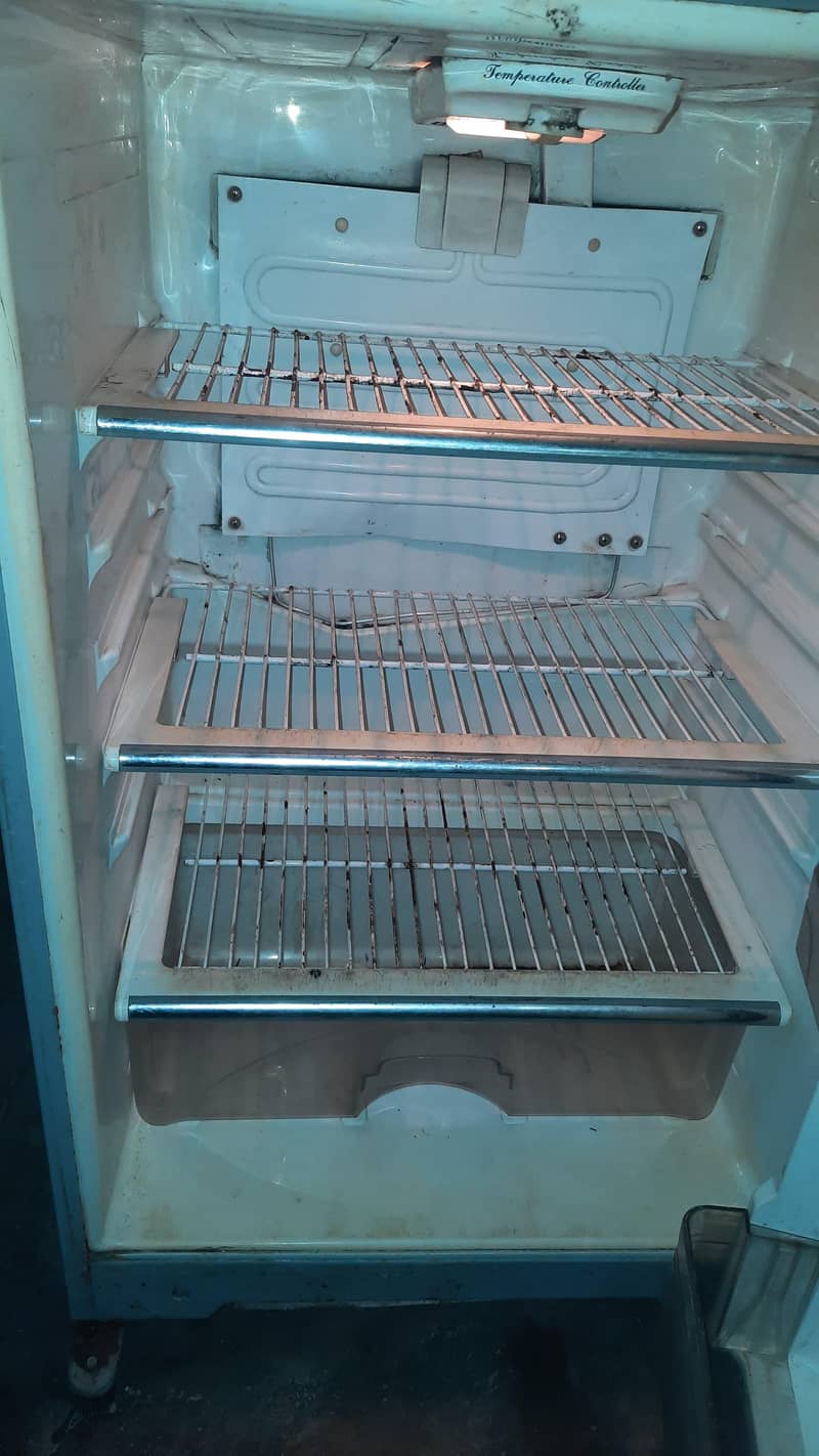 fridge 7