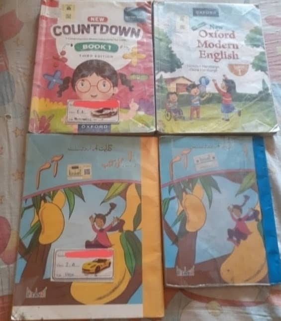 FIRST YEAR,  SECOND YEAR,  GRADE  9  &  10   SINDH BOARDS Books 6