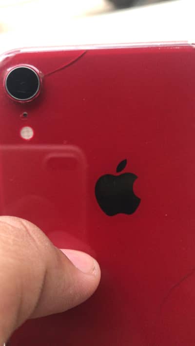 iPhone XR