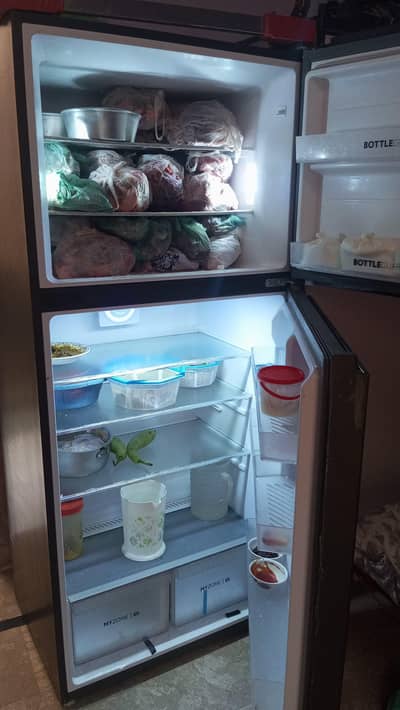 Jumbo Size Glass door fridge full automatic