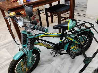 kid's cycles. Smaller one for ages 5 to 8, bigger one ages 7 to 10