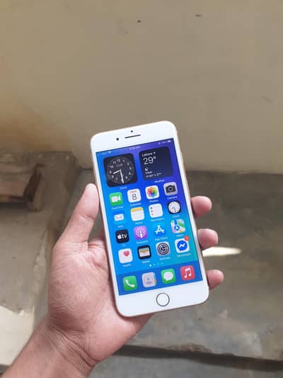 iPhone 8 Plus