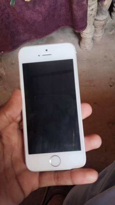 Apple iPhone 5s