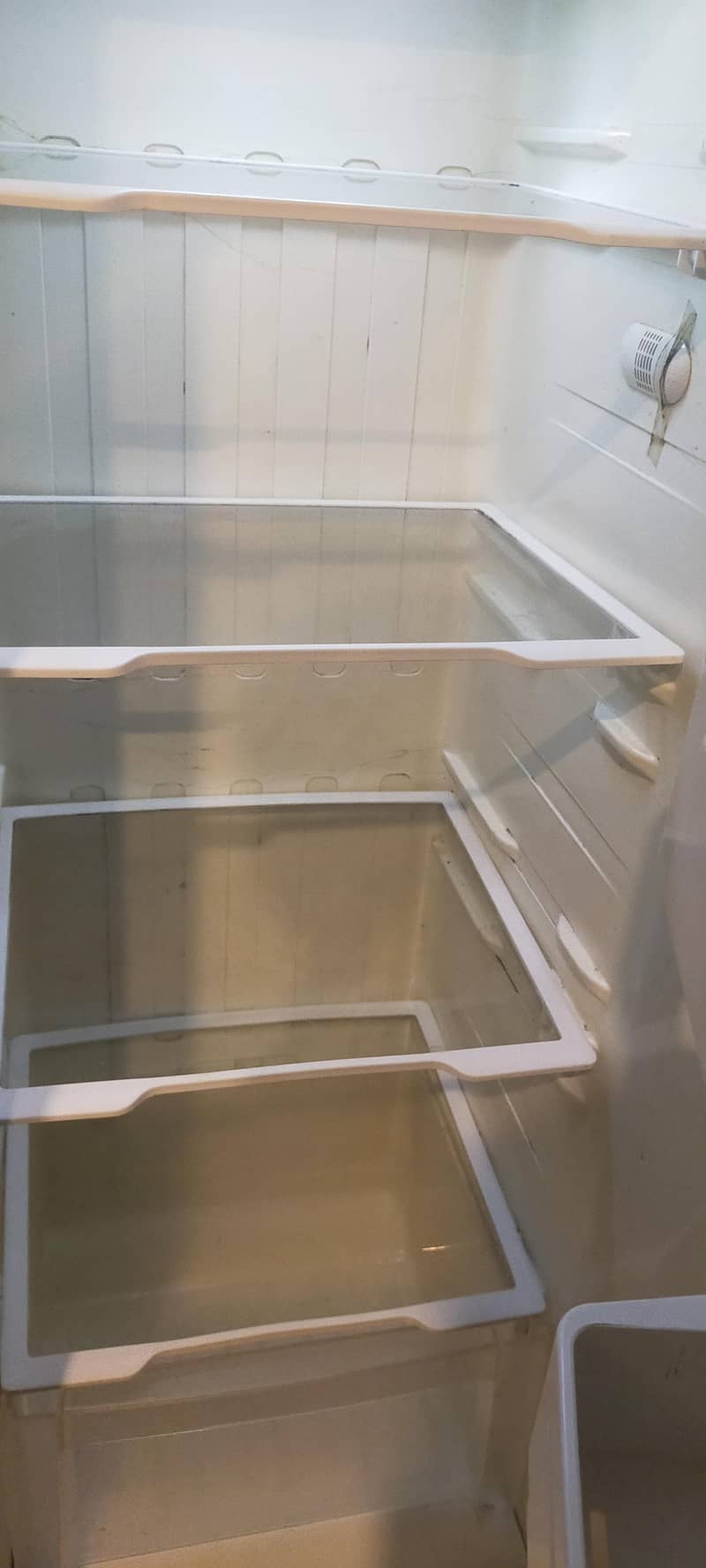 fridge 3