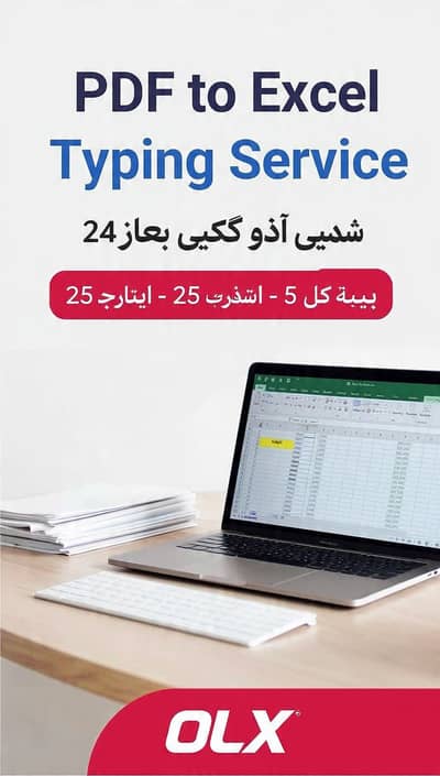 PDF to Excel Typing | 25 Rs/Page | 24H Delivery | Free Sample