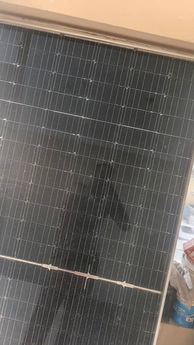 450 watt plates for sale in reasonable price