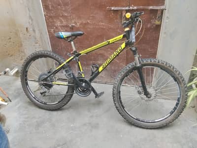 24 size bicycle