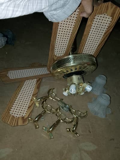 Irani Fancy ceiling fans / ceiling fans