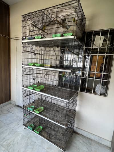 Aliyan cage for sale