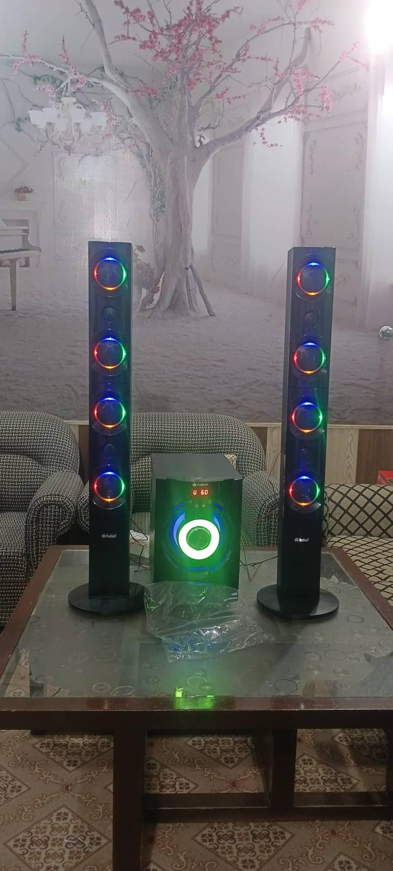RB110 Audionic 2