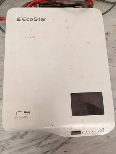 eco star ups