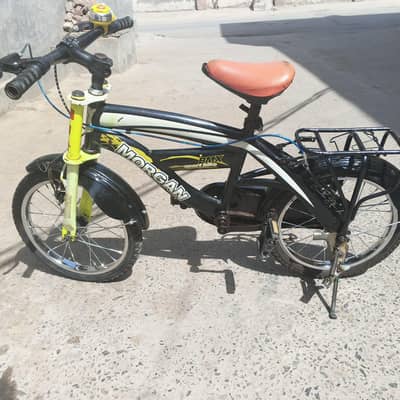 Cycle morgen 12 inch or 16 inch best quality