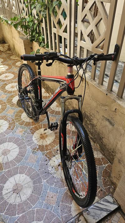 Dolphin river bike