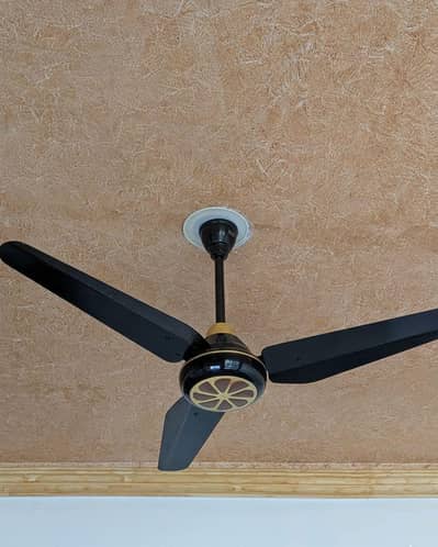 AC/DC ceiling fan