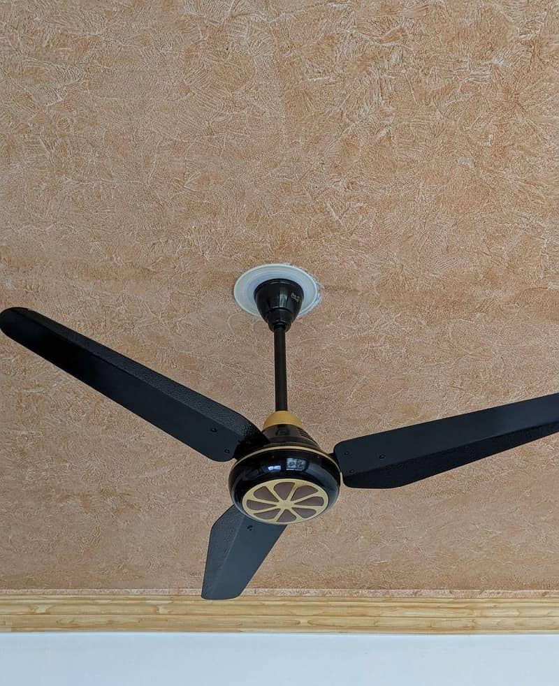 AC/DC ceiling fan 1