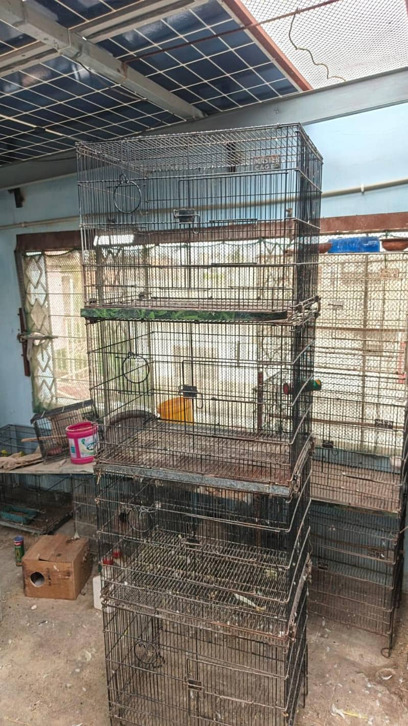Bird Cage 0