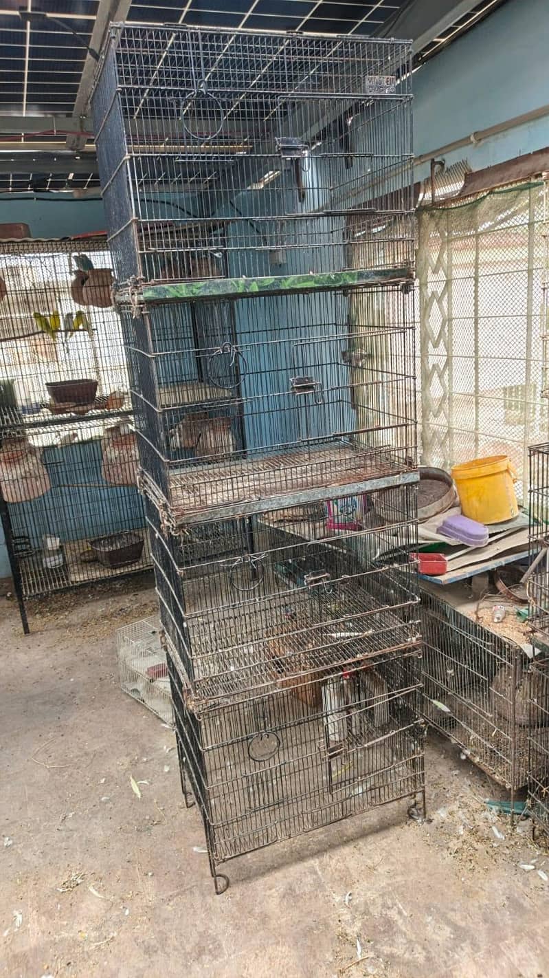 Bird Cage 1