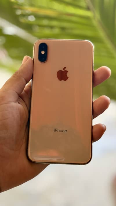 Apple iPhone XS