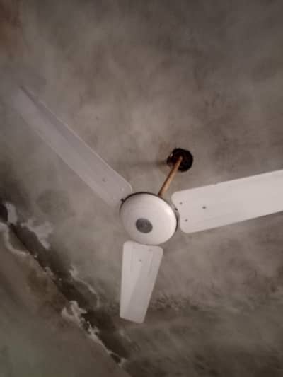 ceiling fan for sale 100% Copper