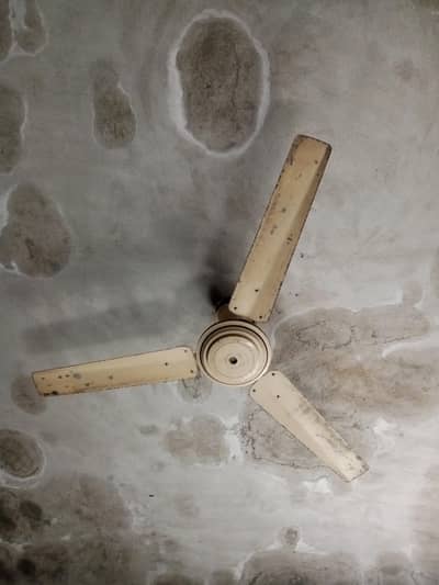 ceiling fan for sale 100% Copper l