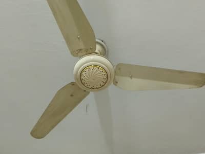 selling fan