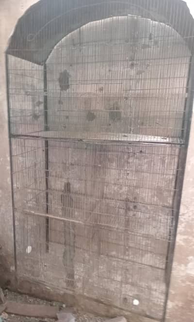 cage for parrots