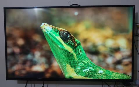Ecostar CX-49UD921 49 inch 4k UHD Smart LED