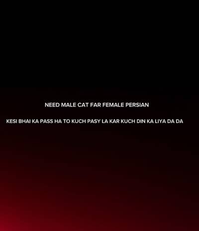 Need far female