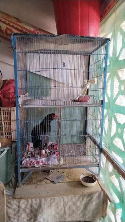 Pinjra full sale 3 doors  Location majeed sre  Price 5000