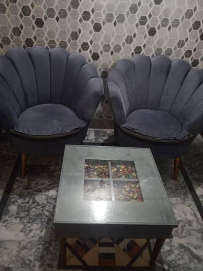 Room/Coffee chairs