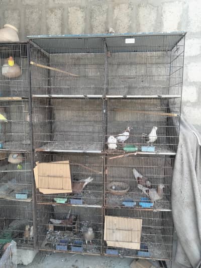 large size cage lovebirds cage pinjra