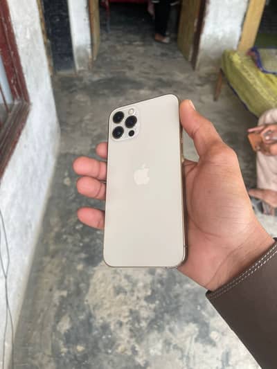 Apple iPhone 12 pro