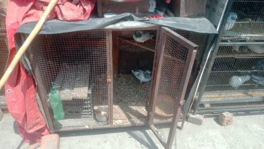 for sale