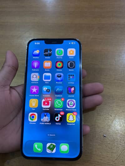 iPhone 13pro max